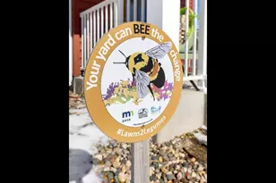 1305 Woodley St E, Northfield, MN 55057 - Photo 53