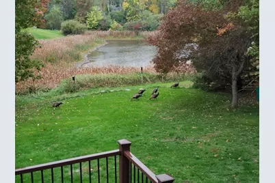 12006 Eldorado Street NE, Blaine, MN 55449 - Photo 35