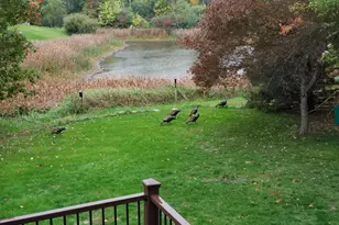 12006 Eldorado St NE, Blaine, MN 55449 - Photo 35