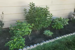 6810 61st Ave N, Crystal, MN 55428 - Photo 37