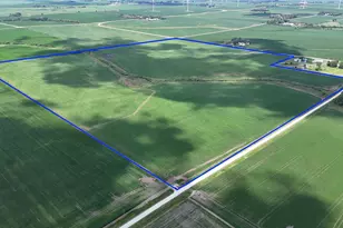 Xxx 310th St, Waltham, MN 55982 - Photo 1