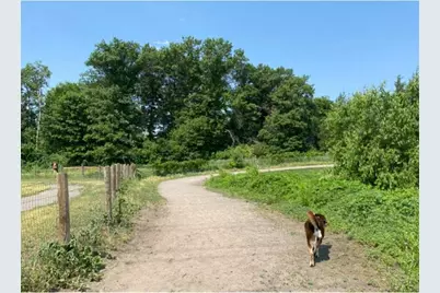2817 Downing Avenue, Shakopee, MN 55379 - Photo 23