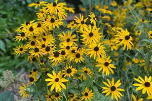 602 6th Ave SW, Austin, MN 55912 - Photo 53