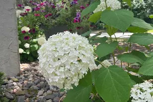 4318 Highland Dr, Shoreview, MN 55126 - Photo 47