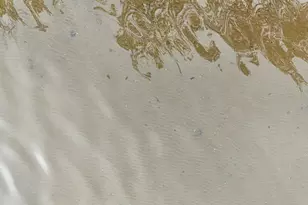 27762 Leef Rd, Webster, WI 54893 - Photo 19