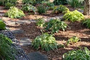 936 White Spruce Way NW, Alexandria, MN 56308 - Photo 49