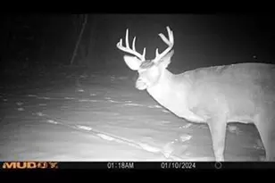 68095 E Deep Lake Rd, Iron River, WI 54847 - Photo 33