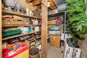 405 E Summit St, Battle Lake, MN 56515 - Photo 145