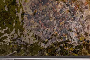 405 E Summit St, Battle Lake, MN 56515 - Photo 131