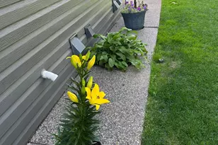 828 Wollak Way, Sauk Rapids, MN 56379 - Photo 39