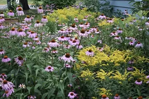 602 4th St S, Moorhead, MN 56560 - Photo 37