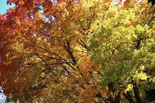 602 4th St S, Moorhead, MN 56560 - Photo 39