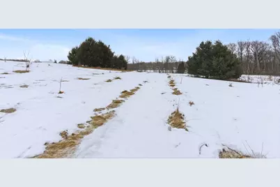 Tbd 80th Street, Frederic, WI 54837 - Photo 3