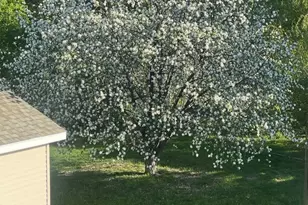 1040 Bridgeport Dr, Sartell, MN 56377 - Photo 47