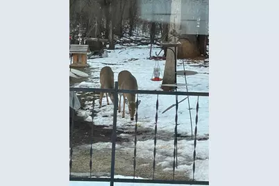 18110 County Road 30, New Germany, MN 55367 - Photo 7