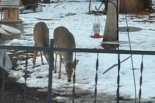 18110 County Rd 30, New Germany, MN 55367 - Photo 7