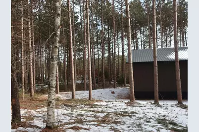 29931 Minerva Road, Danbury, WI 54830 - Photo 5