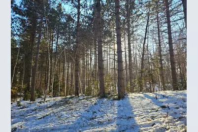 29931 Minerva Road, Danbury, WI 54830 - Photo 7