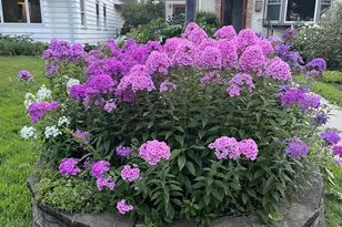 7220 Garfield Ave, Richfield, MN 55423 - Photo 31