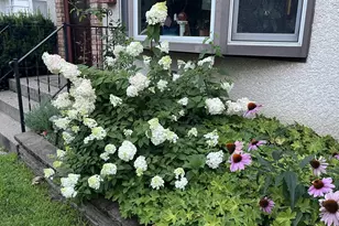 7220 Garfield Ave, Richfield, MN 55423 - Photo 29