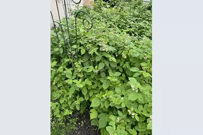 7220 Garfield Avenue, Richfield, MN 55423 - Photo 27