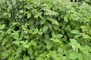 7220 Garfield Ave, Richfield, MN 55423 - Photo 27