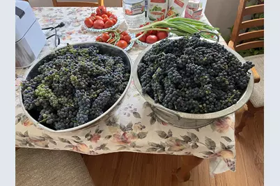 7220 Garfield Avenue, Richfield, MN 55423 - Photo 25