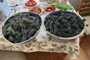 7220 Garfield Ave, Richfield, MN 55423 - Photo 25