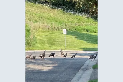 6689 Pine Crest Trail S, Cottage Grove, MN 55016 - Photo 29