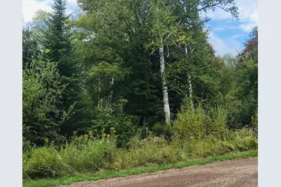 Xxx Big Cedar Trl, Lutsen Township, MN 55612 - Photo 9