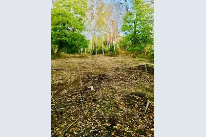 Xxx Big Cedar Trl, Lutsen Township, MN 55612 - Photo 3