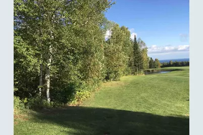 Xxx Big Cedar Trl, Lutsen Township, MN 55612 - Photo 1