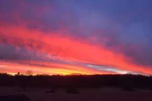 26109 Bluebird Ln, Rockville, MN 56301 - Photo 47