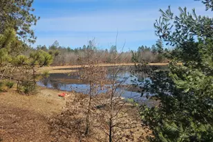 30270 N Nicaboyne Lake Rd, Danbury, WI 54830 - Photo 3