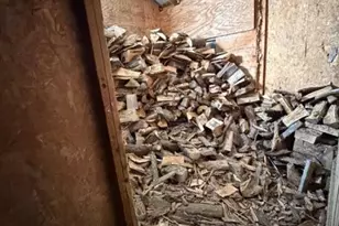 36658 Dogwood Rd, Lanesboro, MN 55949 - Photo 11