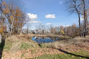 6592 Big Woods Dr, Excelsior, MN 55331 - Photo 49