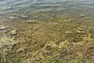 39130 Notebloom Ln, Waubun, MN 56589 - Photo 43