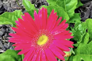 718 Stearns Ave, Paynesville, MN 56362 - Photo 11