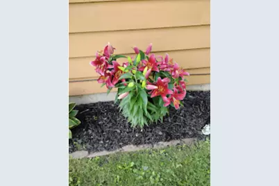 718 Stearns Avenue, Paynesville, MN 56362 - Photo 47