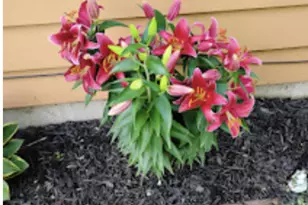 718 Stearns Ave, Paynesville, MN 56362 - Photo 47