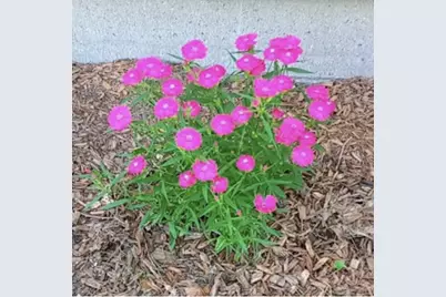 718 Stearns Avenue, Paynesville, MN 56362 - Photo 19