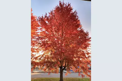 718 Stearns Avenue, Paynesville, MN 56362 - Photo 21