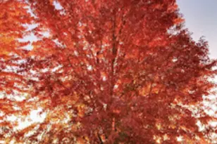 718 Stearns Ave, Paynesville, MN 56362 - Photo 21