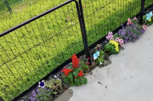 718 Stearns Ave, Paynesville, MN 56362 - Photo 49