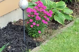 718 Stearns Ave, Paynesville, MN 56362 - Photo 13