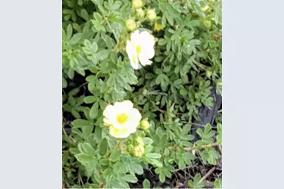 718 Stearns Avenue, Paynesville, MN 56362 - Photo 9