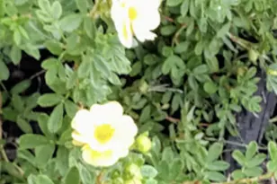 718 Stearns Ave, Paynesville, MN 56362 - Photo 9