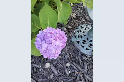 718 Stearns Avenue, Paynesville, MN 56362 - Photo 51