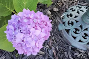 718 Stearns Ave, Paynesville, MN 56362 - Photo 51