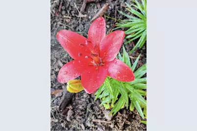 718 Stearns Avenue, Paynesville, MN 56362 - Photo 15